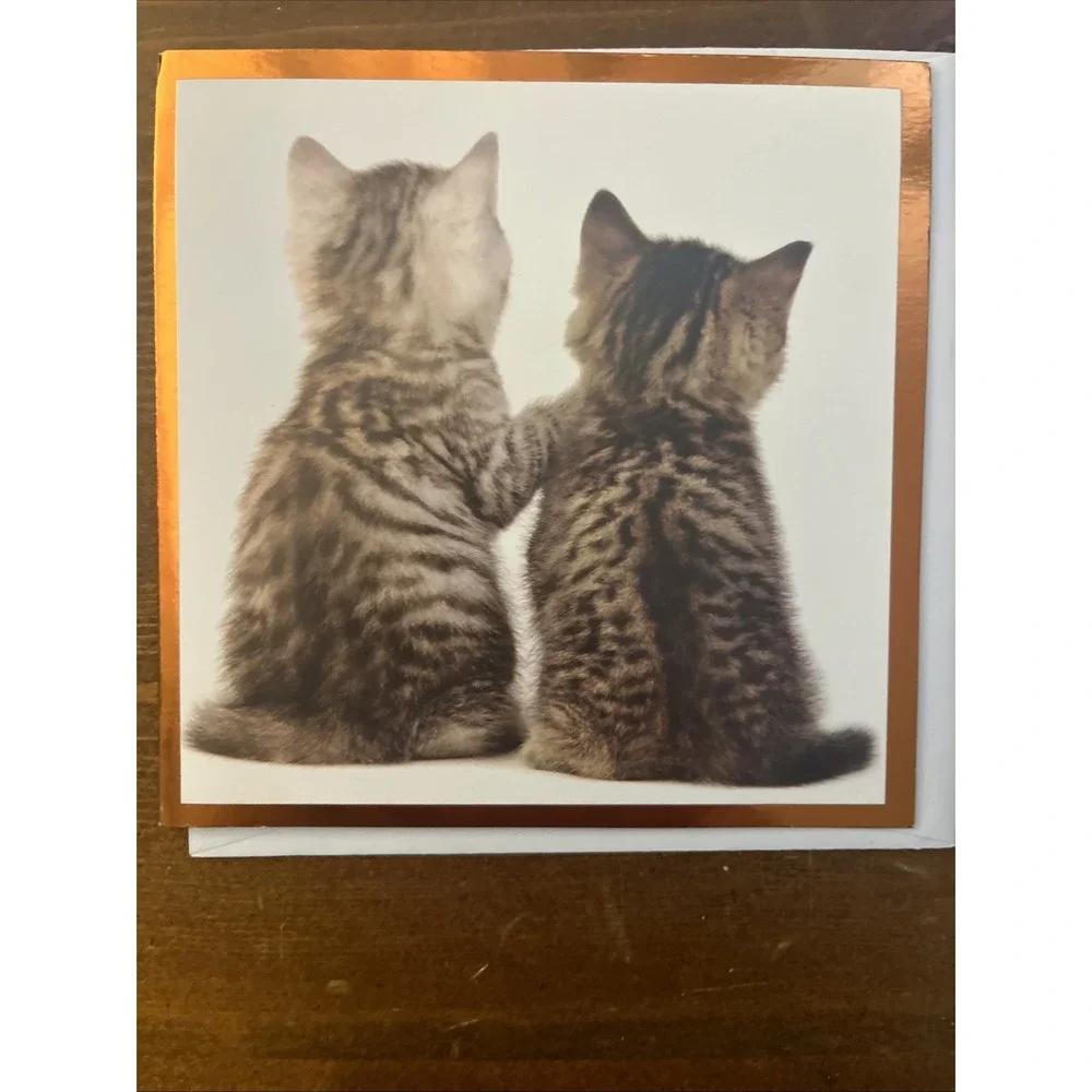 Lot of 8‎ Miscellaneous Cat Greeting Cards